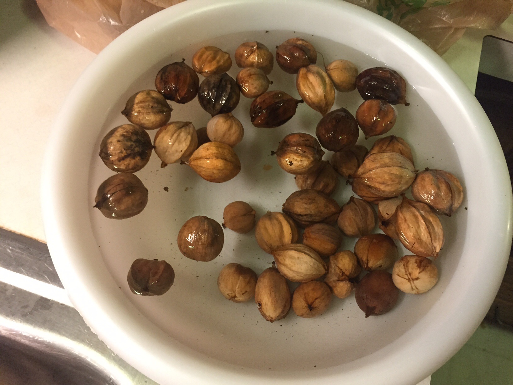 OMG, Hickory Nuts! Using fruit Growing Fruit