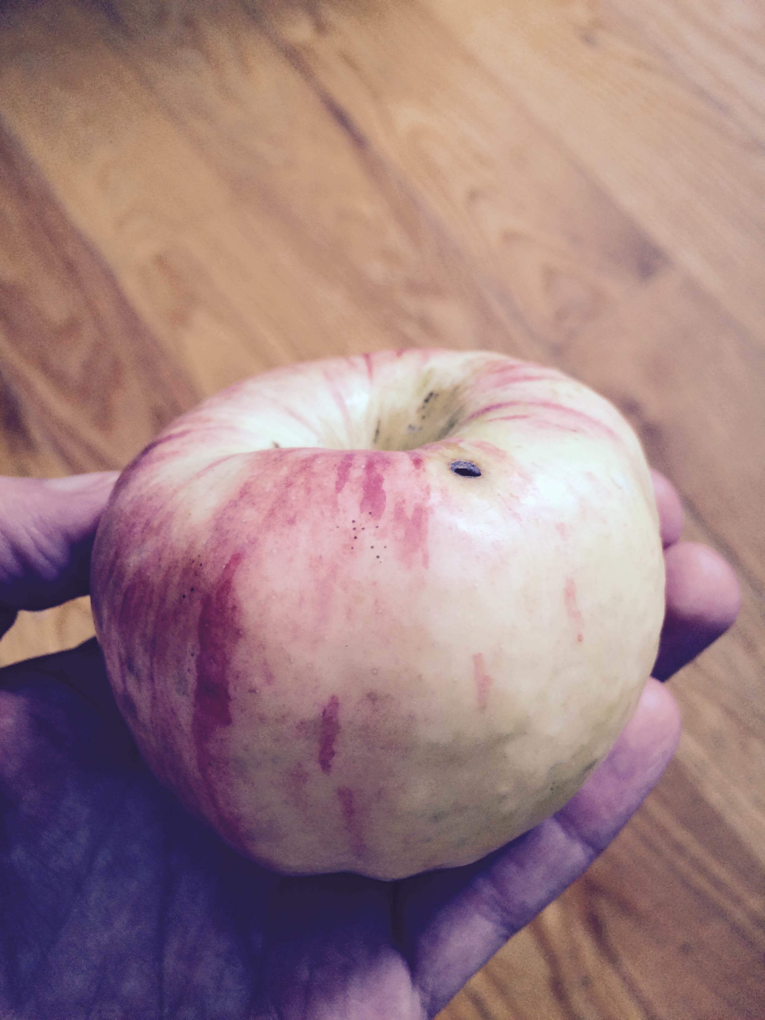 Kazakhstan Apples General Fruit Growing Growing Fruit