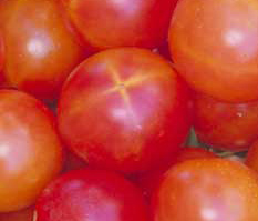 5860