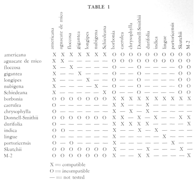 can you graft avocado on to red bay general fruit tree grafting compatibility chart