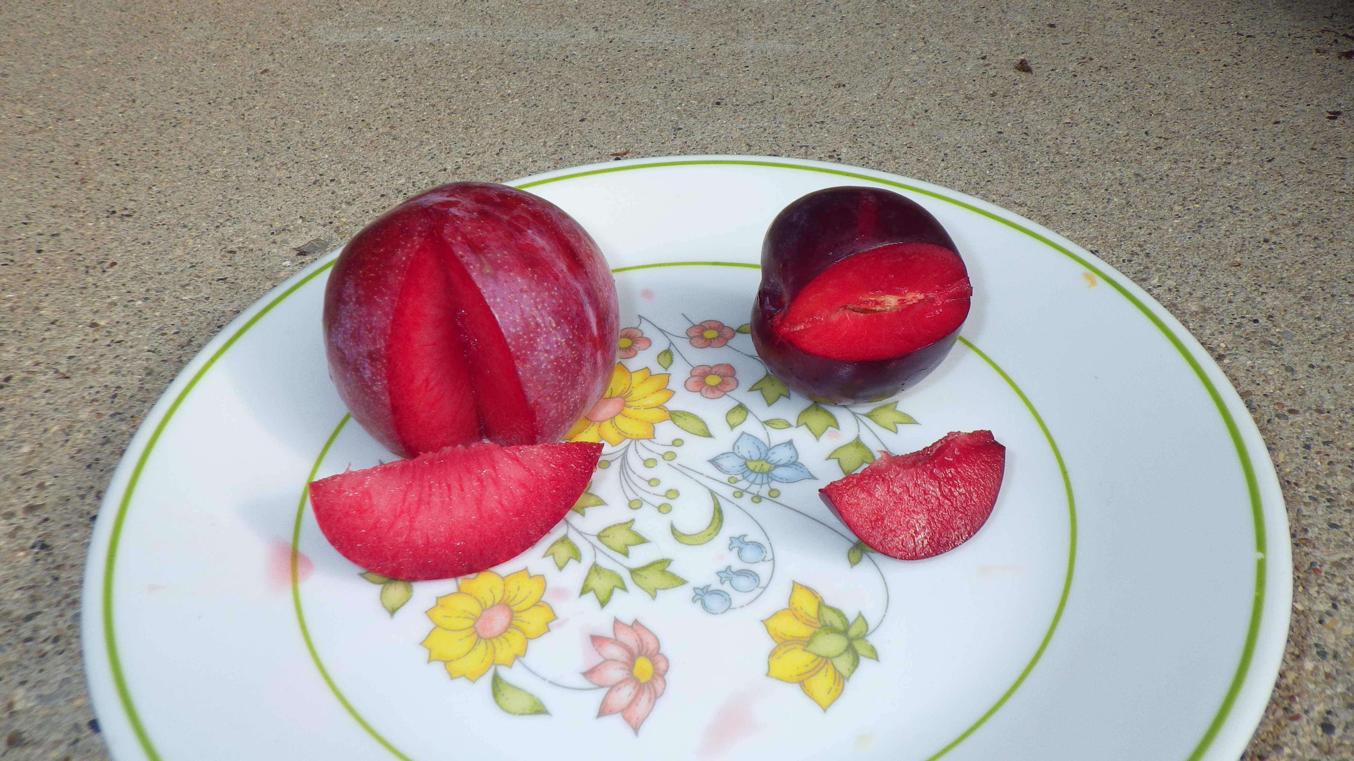 The best plums interspecifics & hybrids to? General Fruit Growing