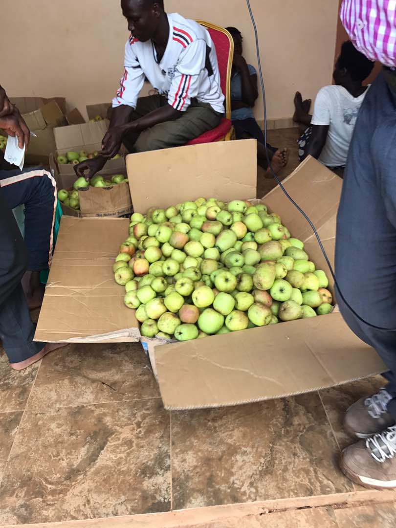 May Uganda Apple Nursery Update Pictures! Growing Fruit