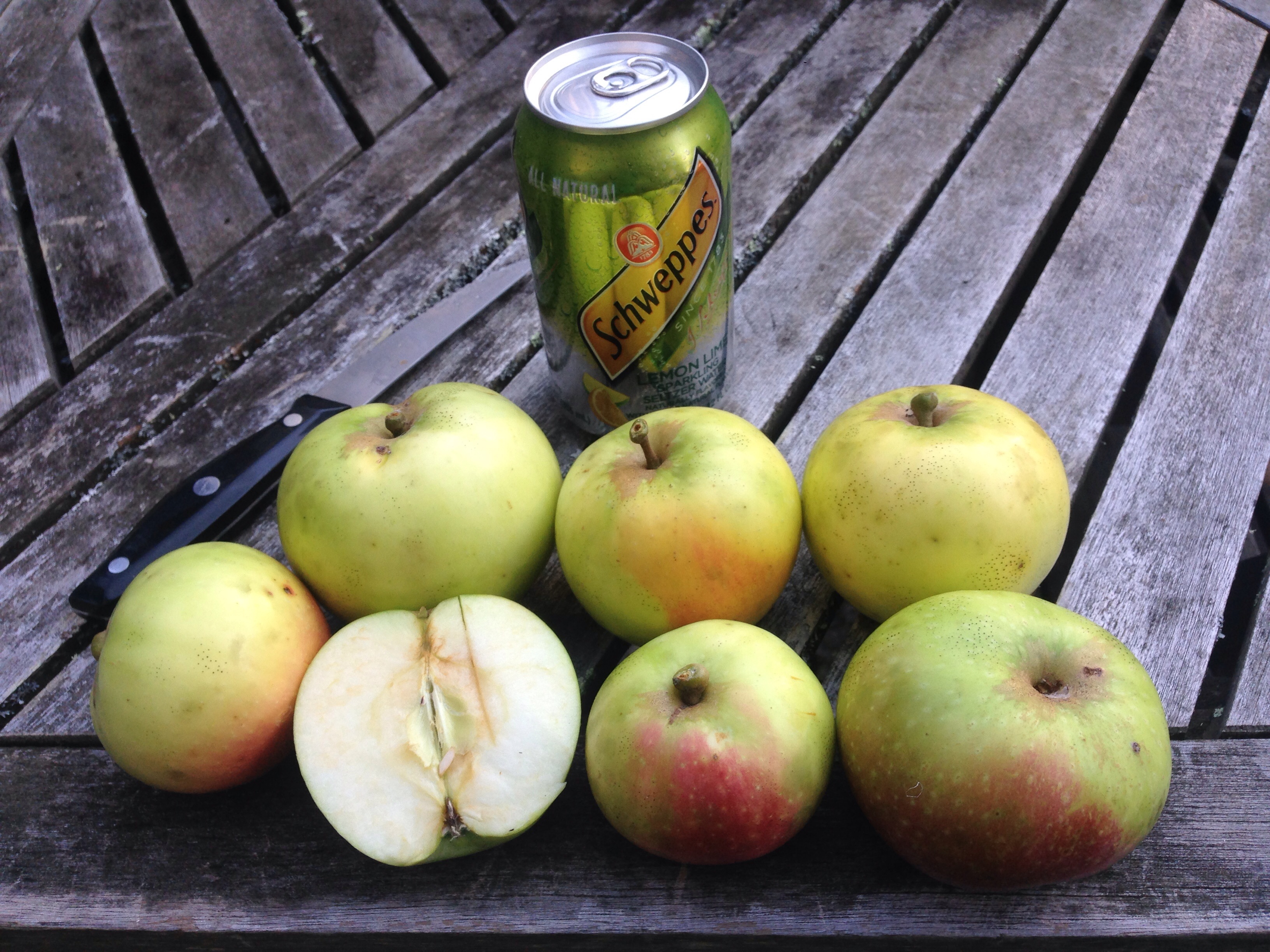 Maine Apple identification help General Fruit Growing Growing Fruit